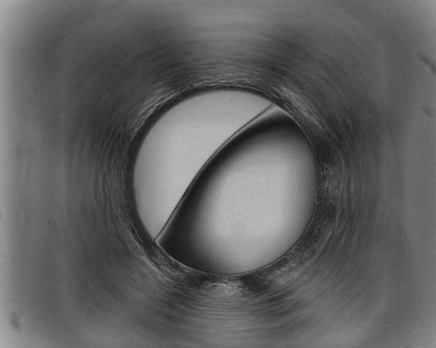 X0000098110548200804040803