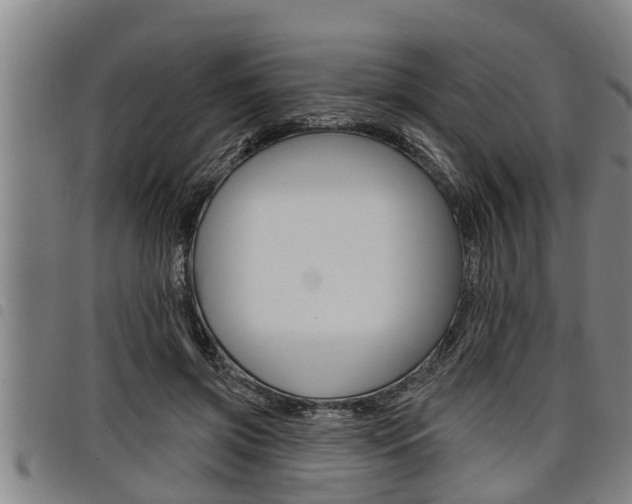 X0000098110549200804040803