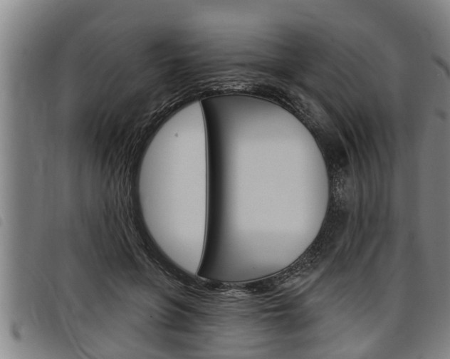 X0000098110551200804040804
