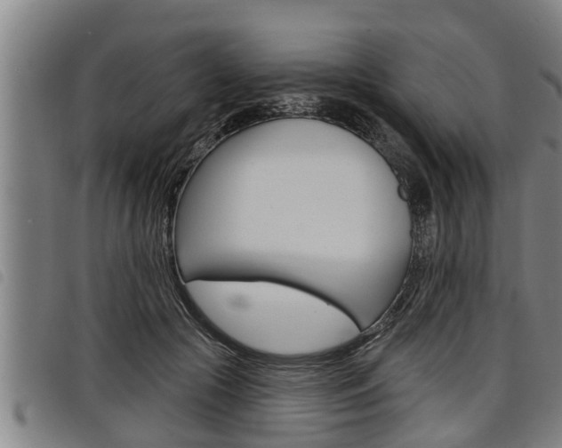 X0000098110553200804040804