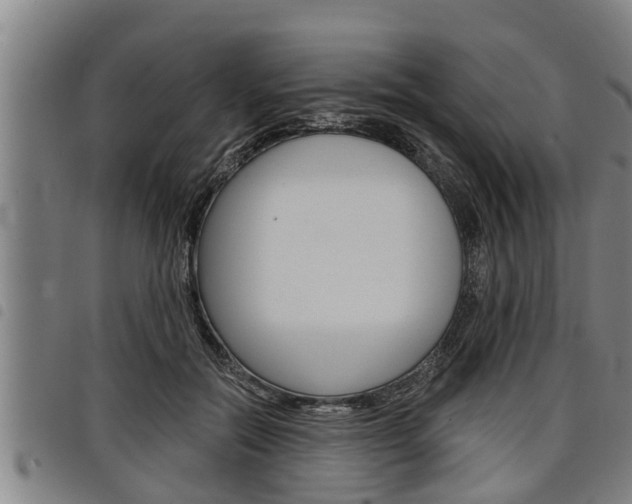 X0000098110554200804040804