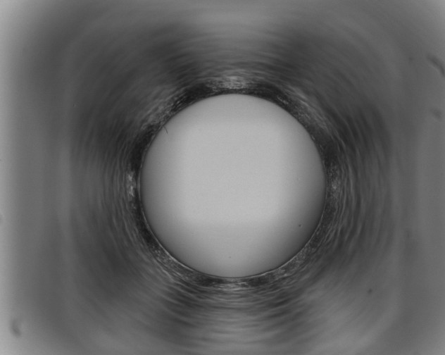 X0000098110555200804040804