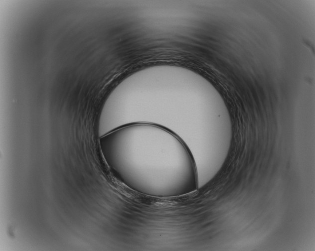 X0000098110556200804040804