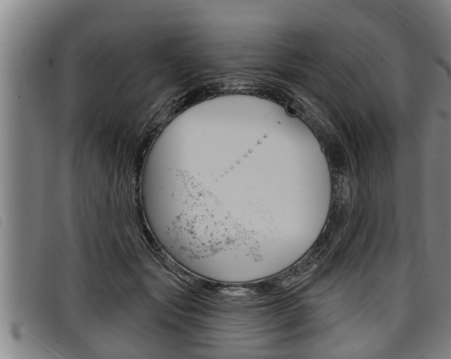 X0000098110557200804040804