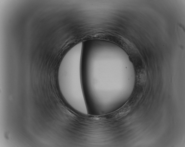 X0000098110558200804040804