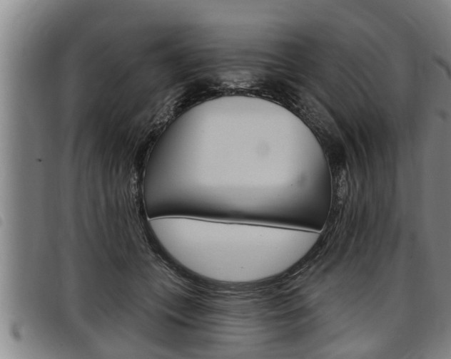 X0000098110559200804040804