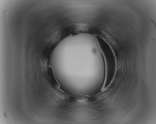 X0000098110560200804040804