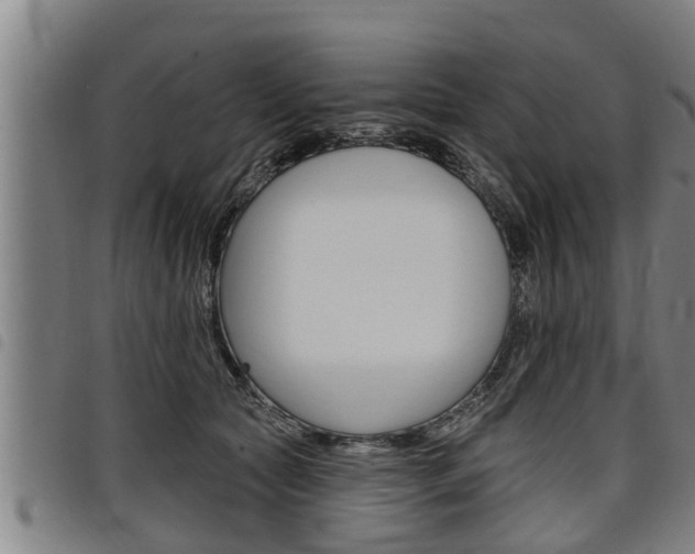 X0000098110561200804040804