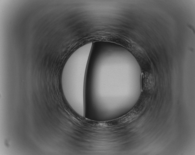 X0000098110562200804040804