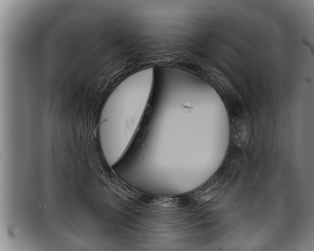 X0000098110563200804040804