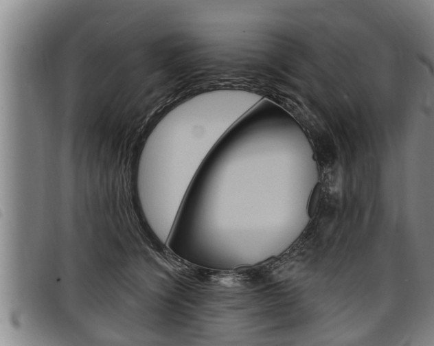 X0000098110564200804040804