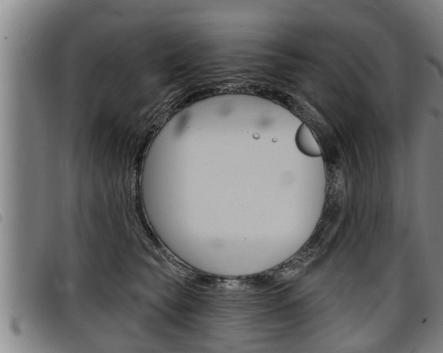 X0000098110565200804040804