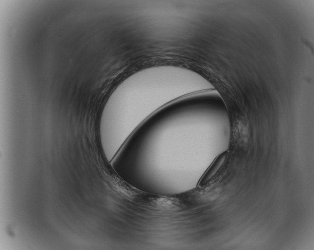 X0000098110566200804040804