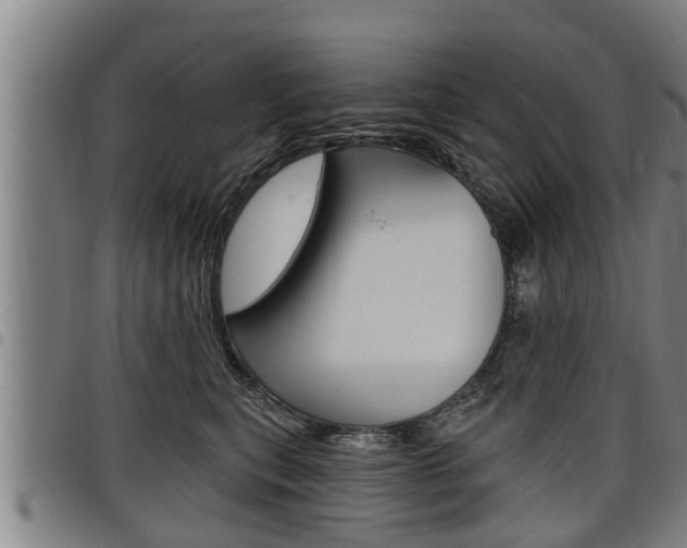 X0000098110567200804040804
