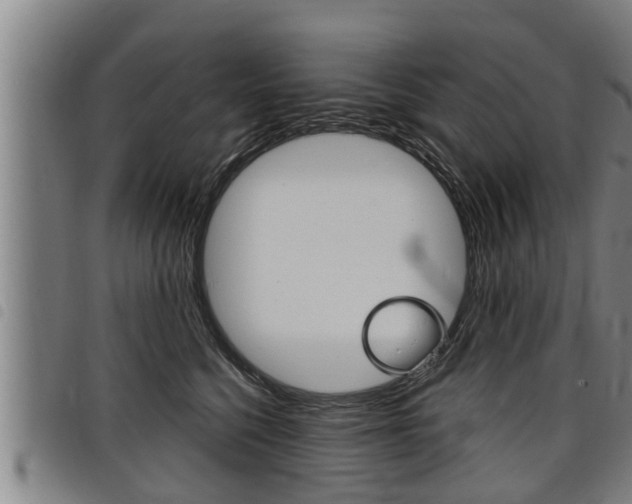 X0000098110568200804040804