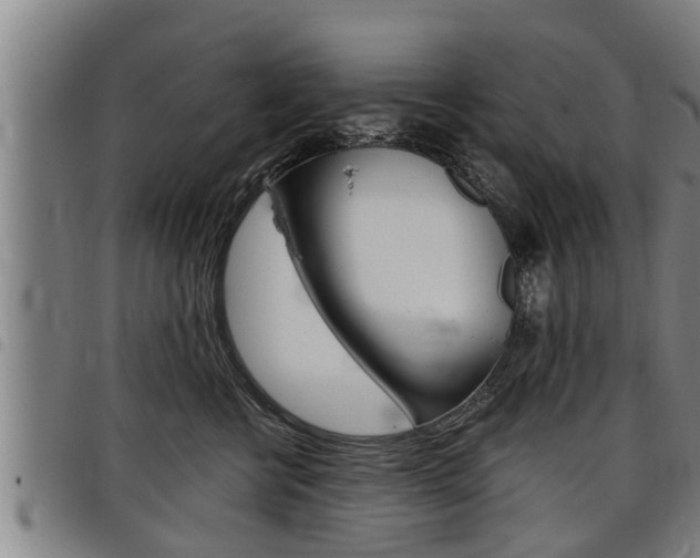 X0000098110570200804040804