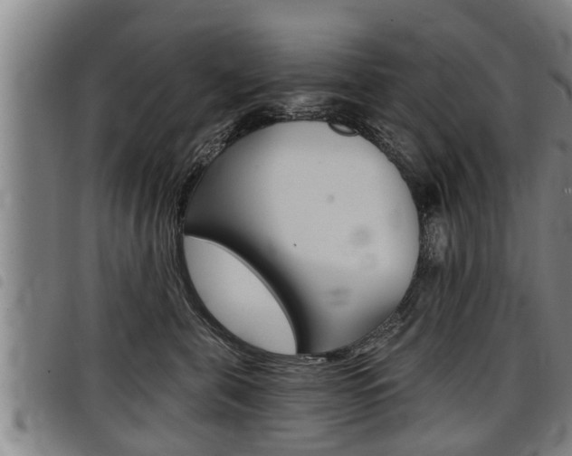 X0000098110571200804040804