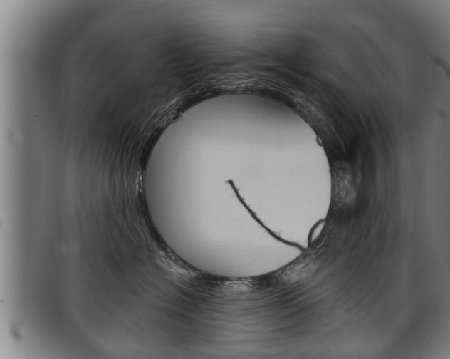 X0000098110574200804040804