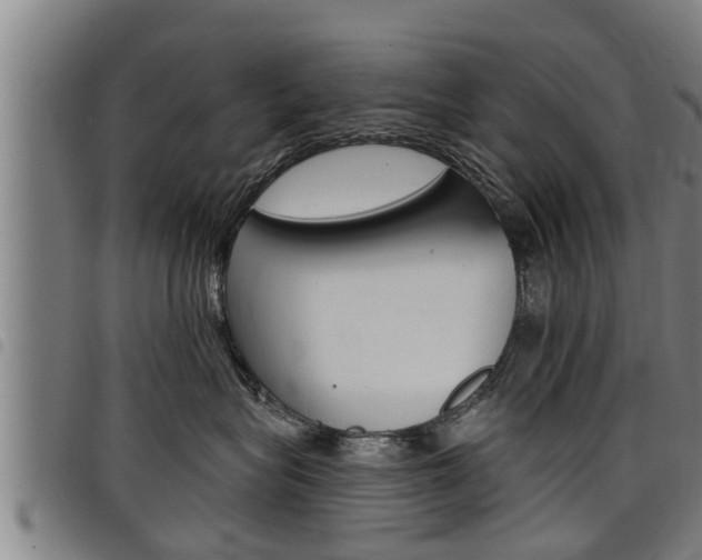X0000098110575200804040804