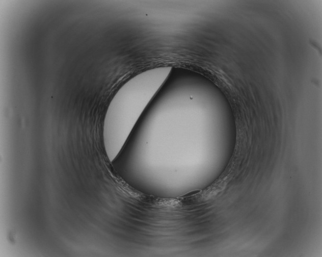 X0000098110576200804040804