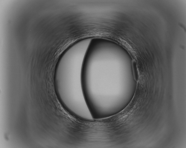 X0000098110577200804040803