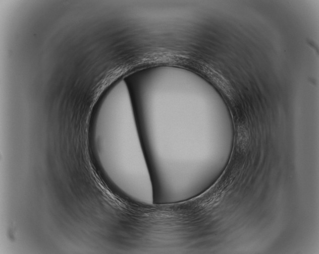 X0000098110578200804040803