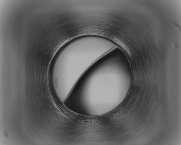 X0000098110580200804040803