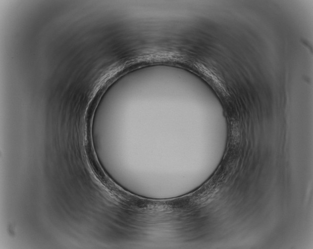 X0000098110582200804040803