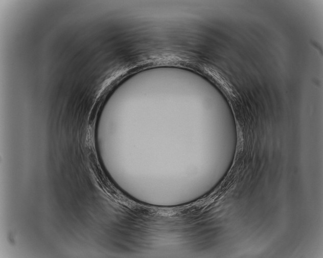 X0000098110583200804040803