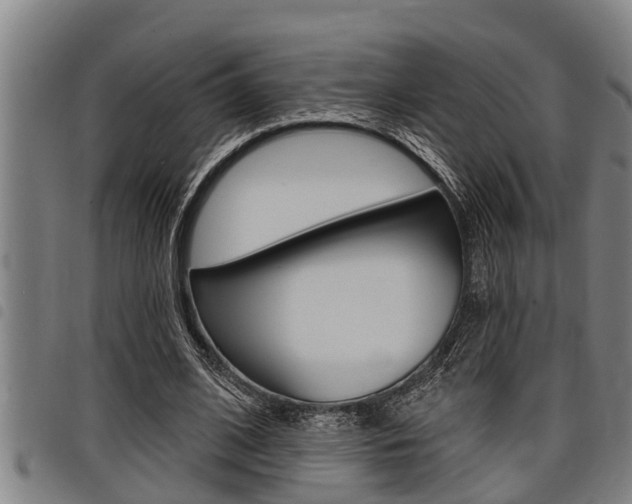 X0000098110584200804040803