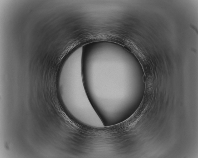 X0000098110585200804040803