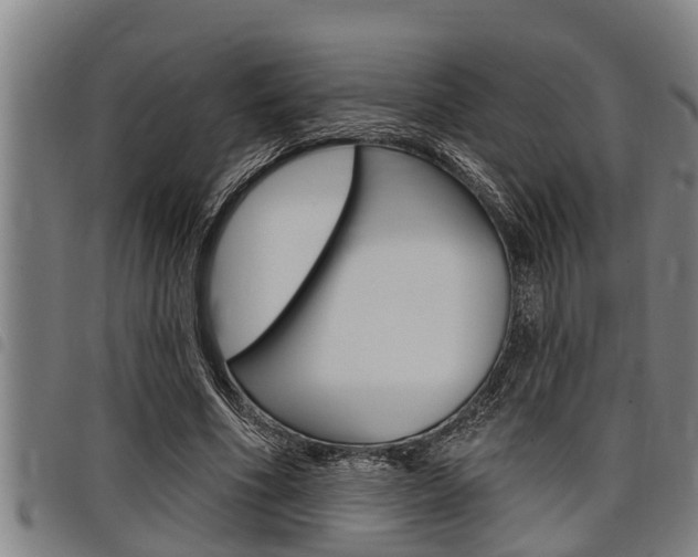 X0000098110586200804040803