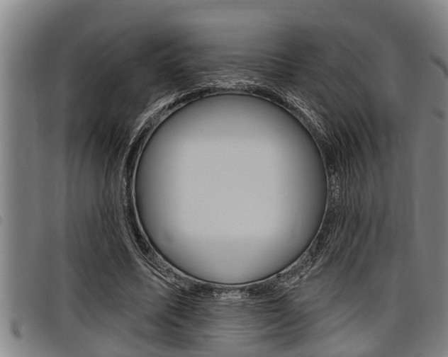 X0000098110587200804040803
