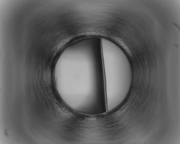 X0000098110588200804040803