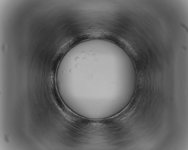 X0000098110590200804040803