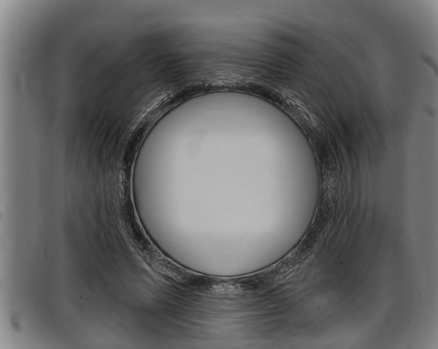 X0000098110591200804040803