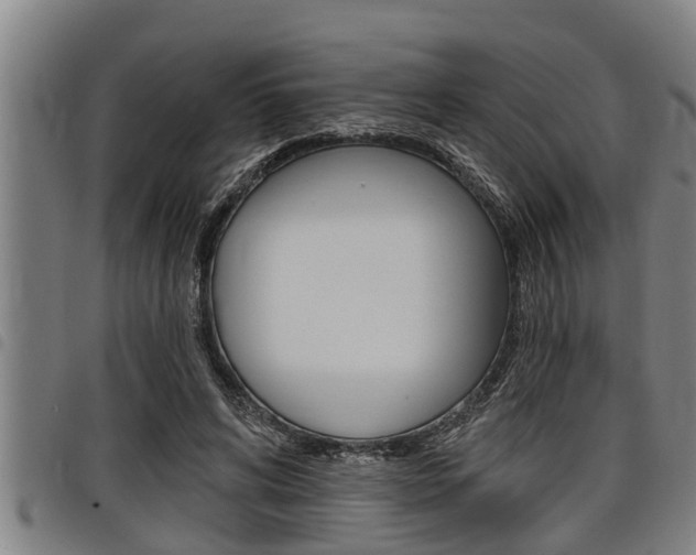 X0000098110592200804040803