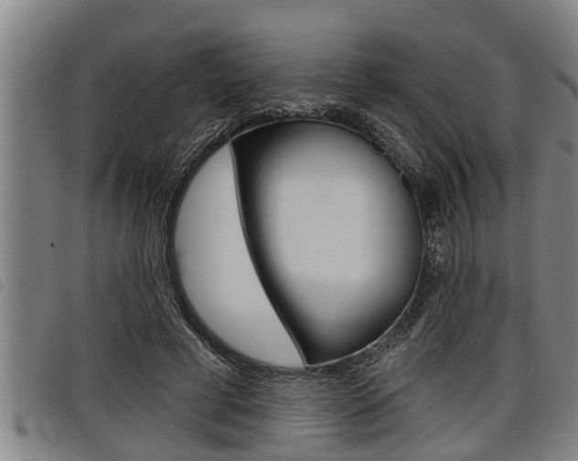 X0000098110593200804040803