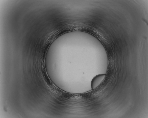 X0000098110594200804040803