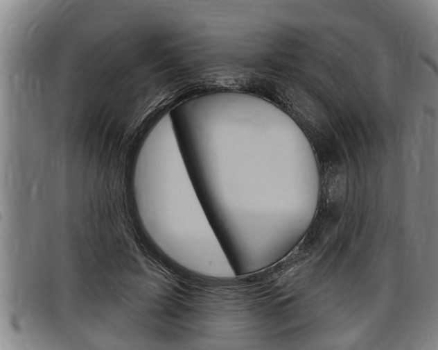 X0000098110595200804040803