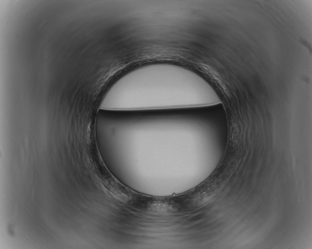 X0000098110596200804040803