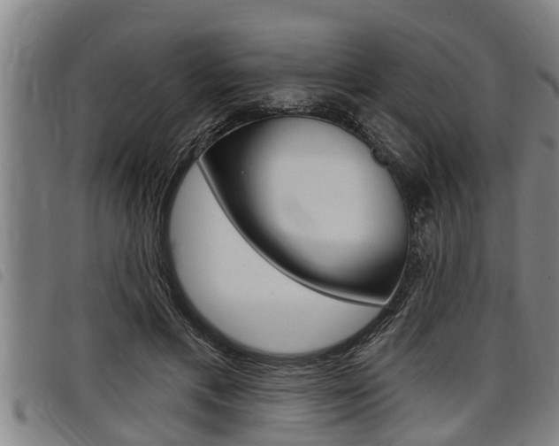 X0000098110597200804040803