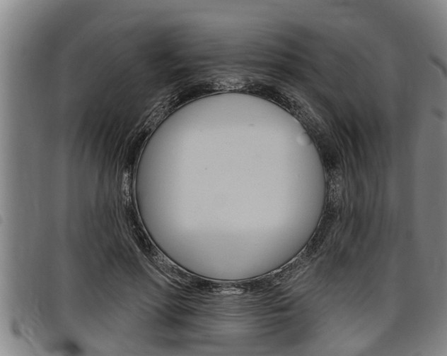 X0000098110598200804040803