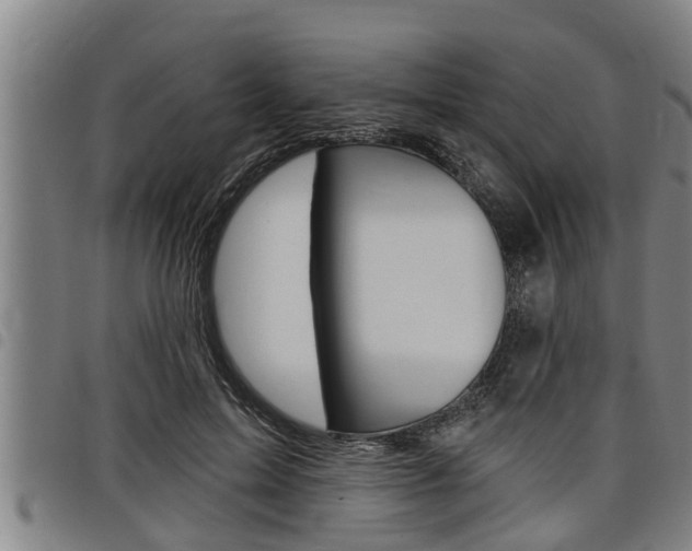 X0000098110599200804040803