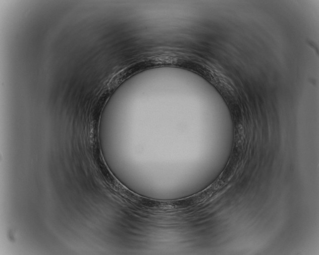 X0000098110600200804040803