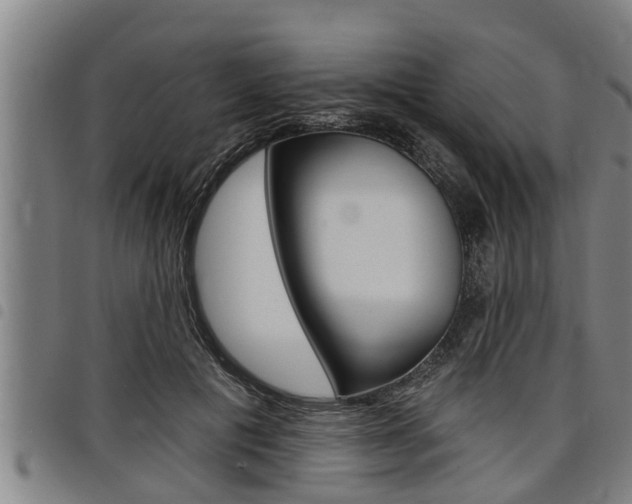 X0000098110601200804040803