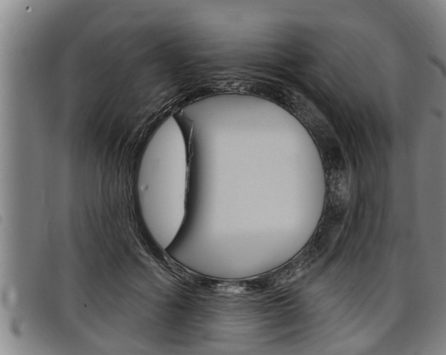X0000098110602200804040803