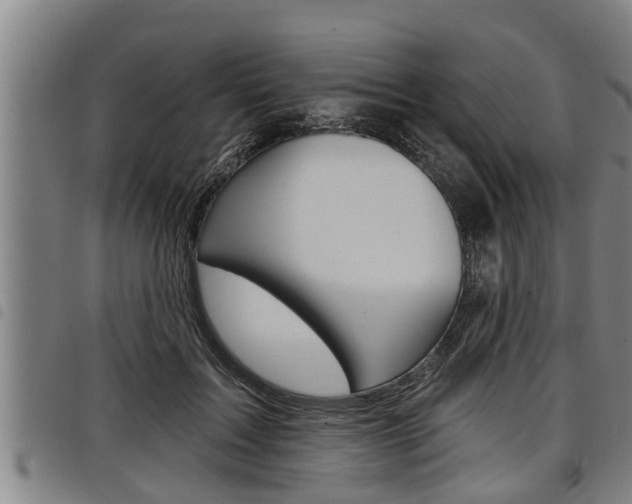 X0000098110603200804040803