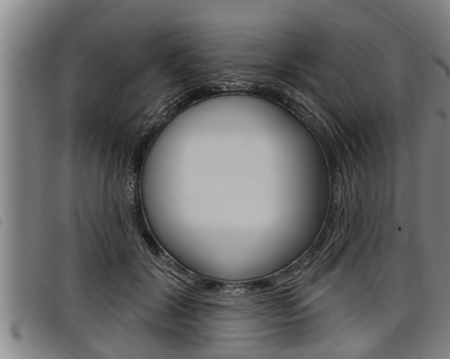 X0000098110604200804040803