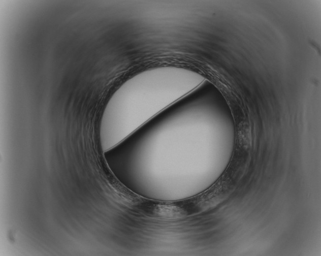 X0000098110605200804040803